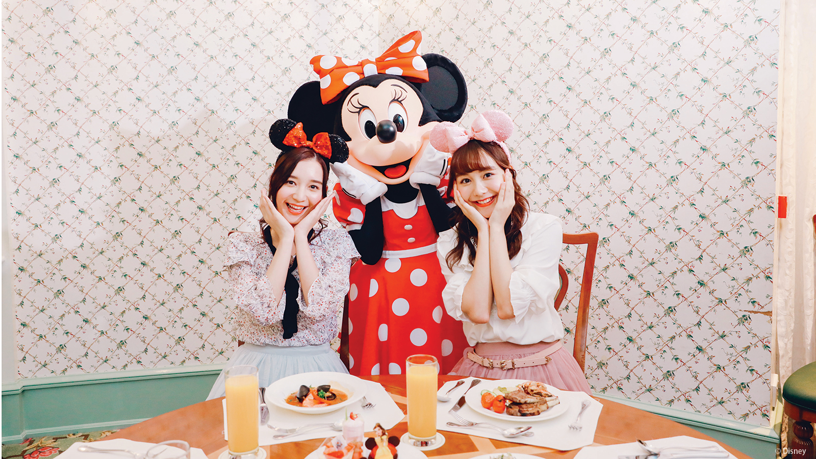 Hong Kong Disneyland Hotels