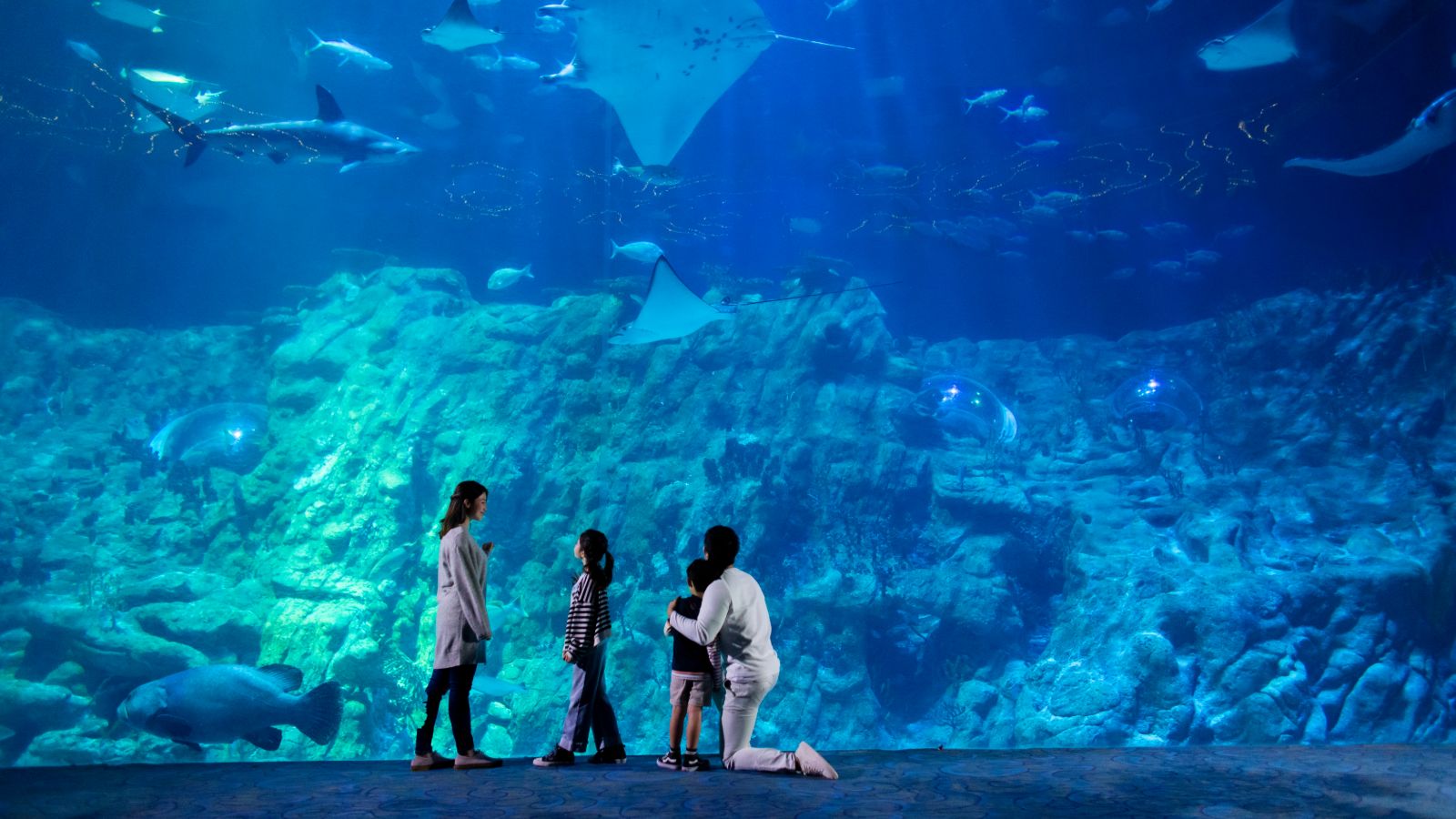 visit ocean park