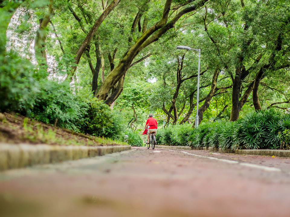 The New Territories Cycle Network is a 60 km cycling track across the New Territories in Hong Kong