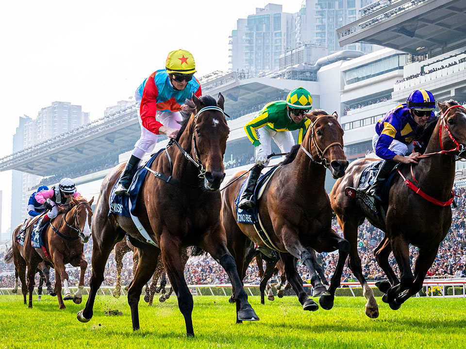 Hong Kong Horse Racing: Catch the Pulse