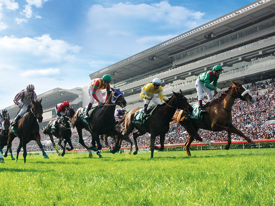 Sha Tin Racecourse Exclusive Package For Tourists