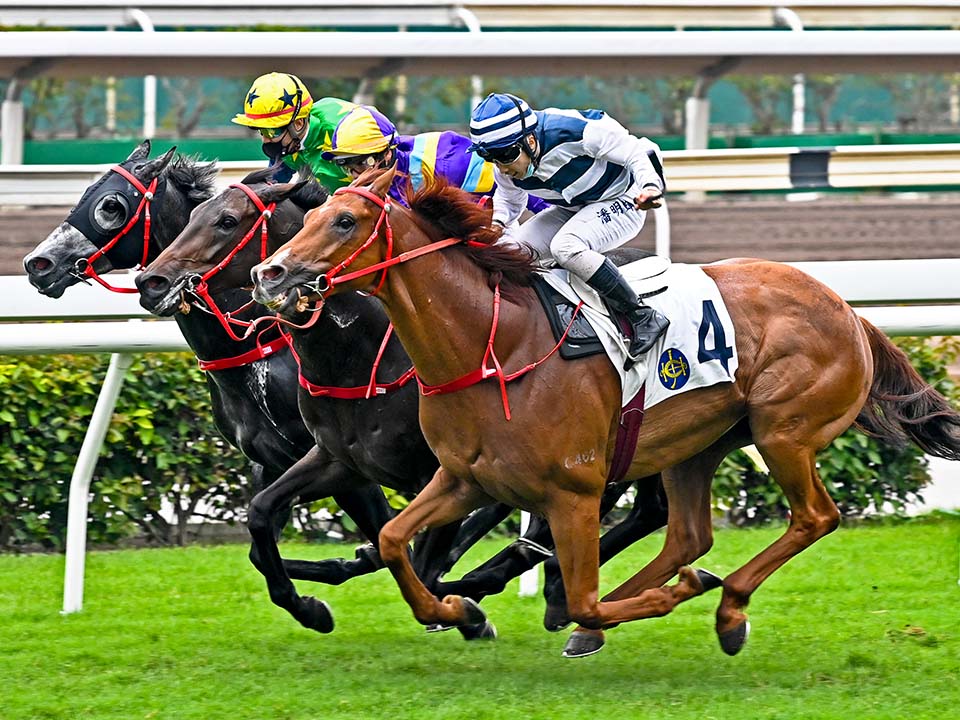 看賽馬 感受刺激氣氛 香港旅遊發展局