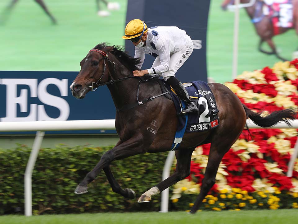How to do the Hong Kong Races