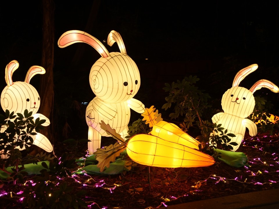 New Territories East Mid-Autumn Lantern Carnival