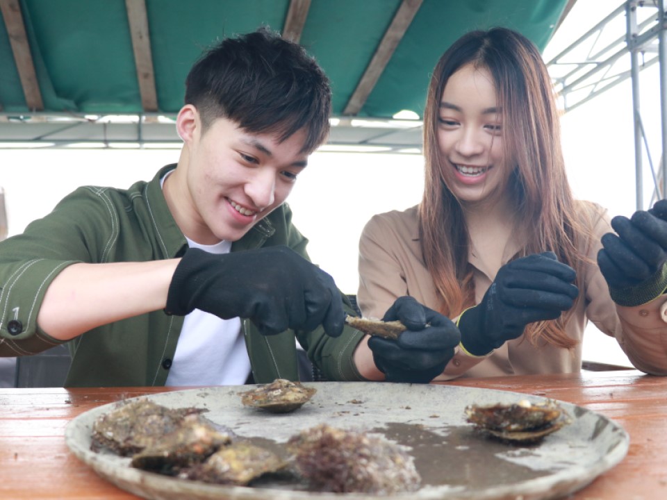 一對情侶在西貢珍珠養殖場採集珍珠。