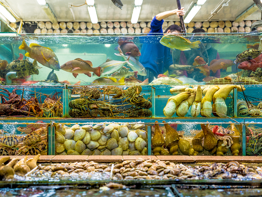 Fruits de mer à Sai Kung