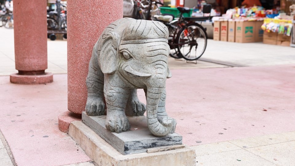 沙頭角十大文化體驗​