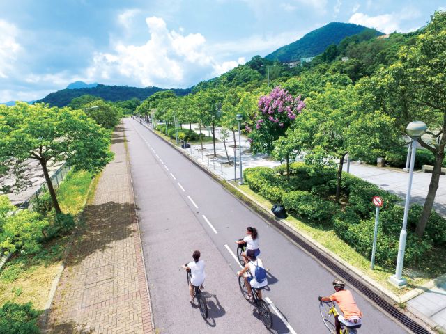 追風前，先看看香港單車旅遊小貼士