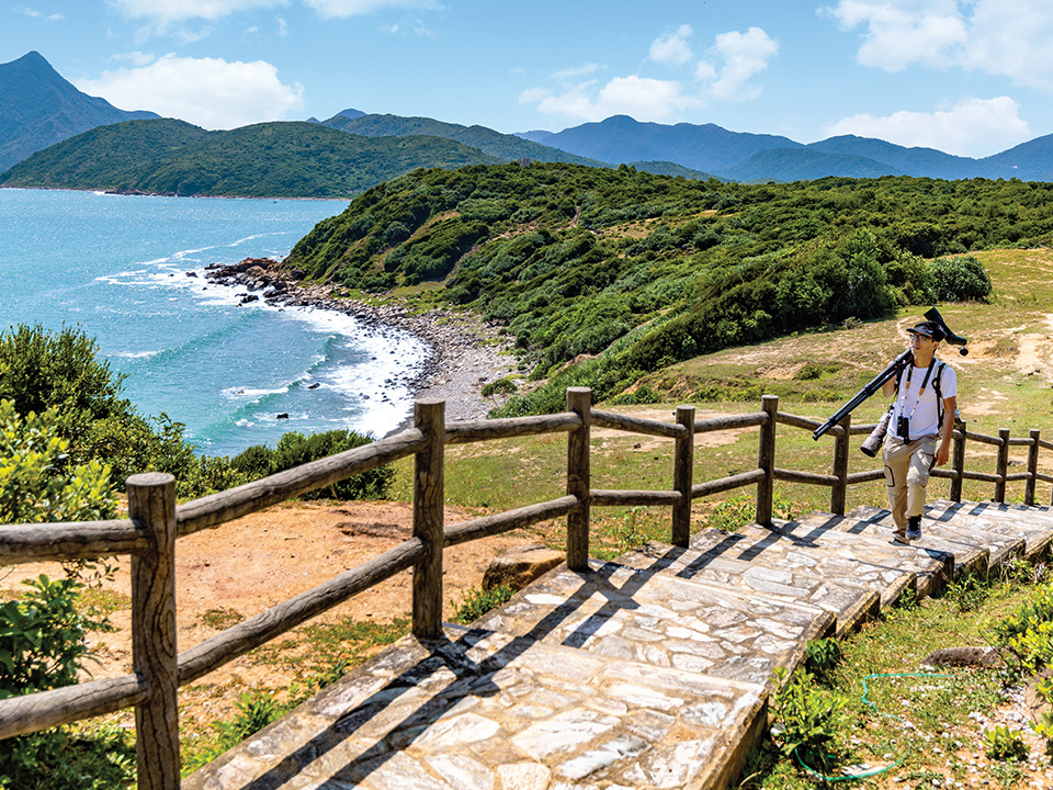 Ornithologist reveals the best times and places for birdwatching in Hong Kong