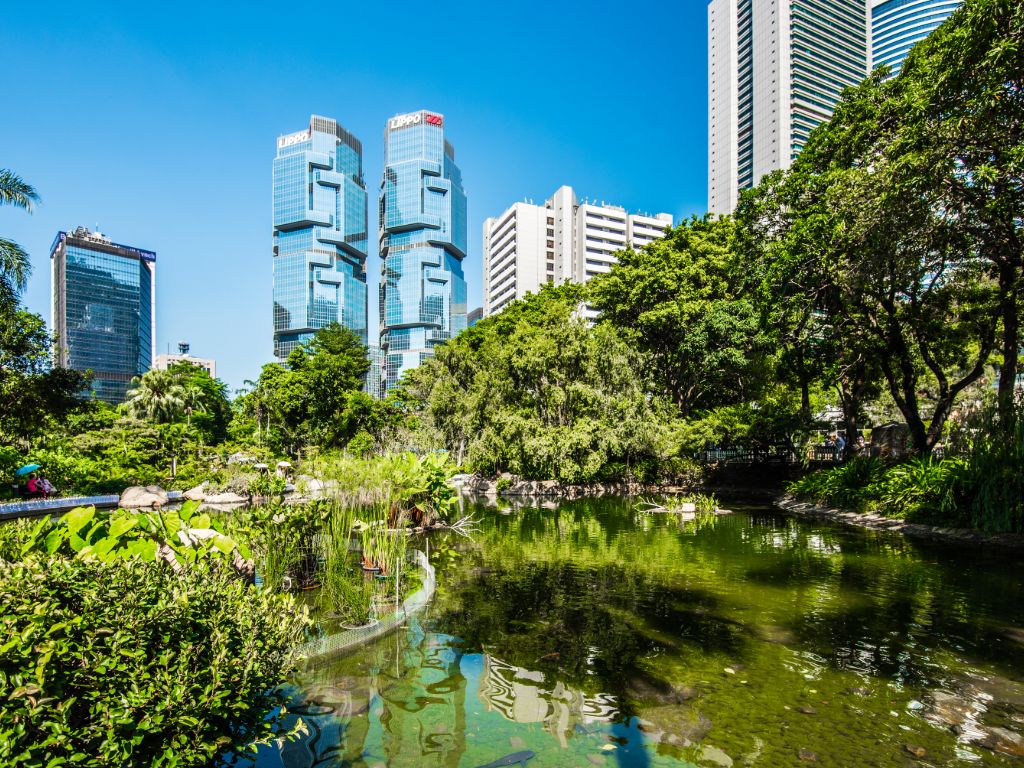 Ketenangan urban di taman kota