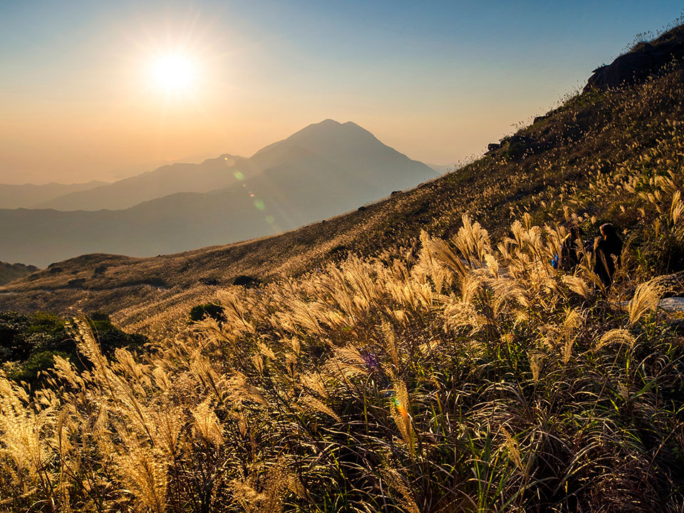 大東山（SUNSET PEAK）：景色と植物の海に魅せられて