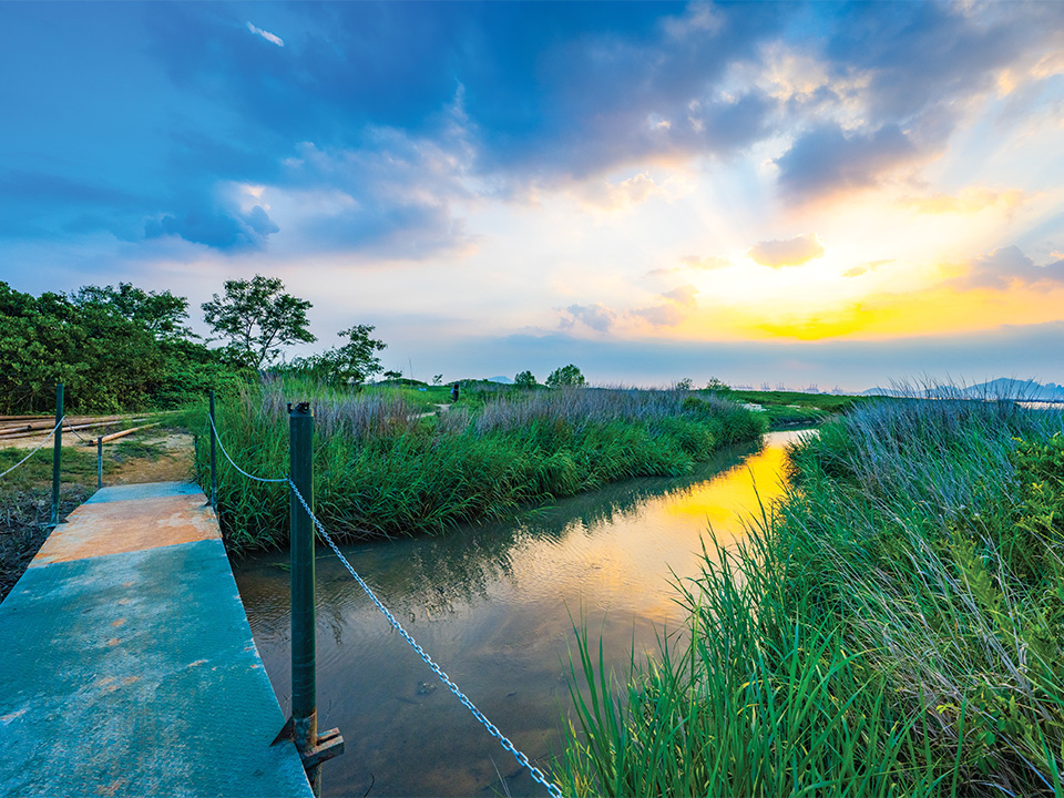Gloaming Under the River