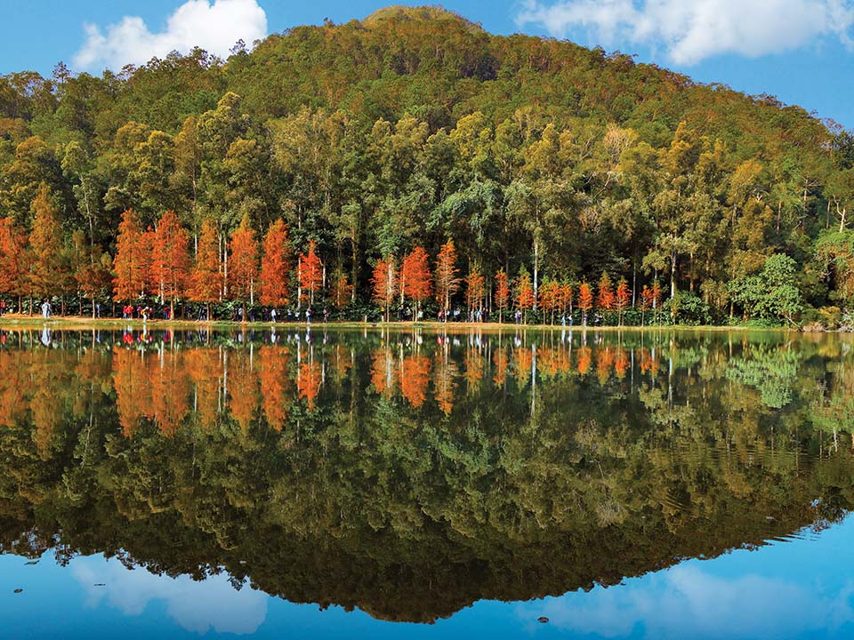 Hongkongs Wunder der Natur: die 10 leichtesten Wanderungen für Anfänger