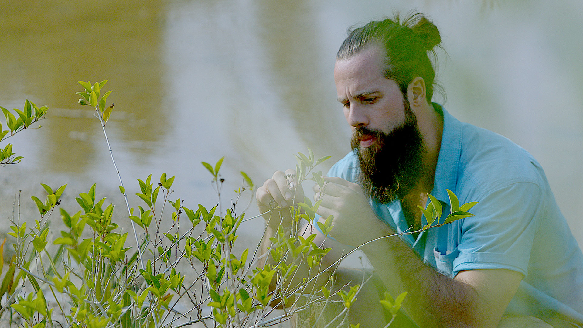 Cybulski  in nature 2