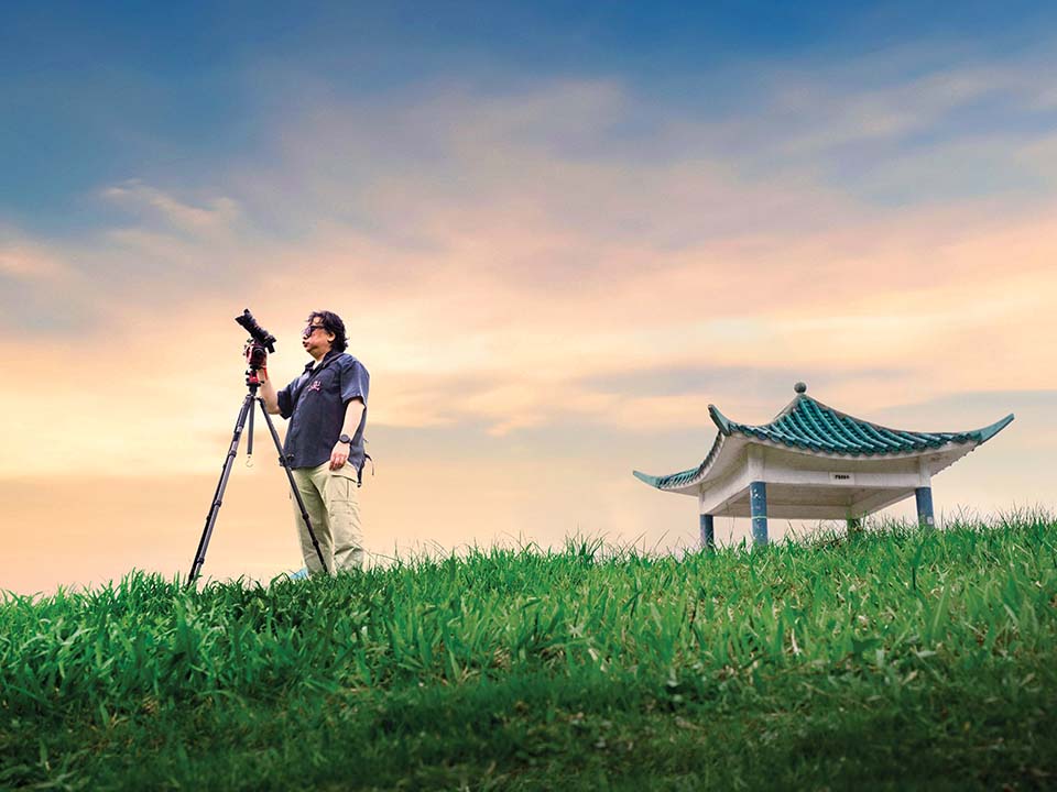 Grassland at Tai Hang Tun Kite Flying Area