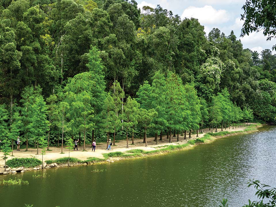 Mendaki hutan di Lau Shui Heung Reservoir