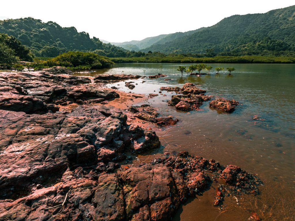 The Yan Chau Tong Marine Park boasts a diverse coastline