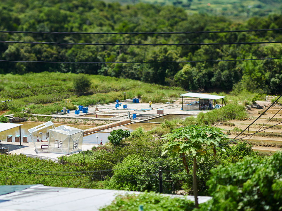 Yim Tin Tsai ist eines der wenigen verbliebenen Salzfelder in Hongkong