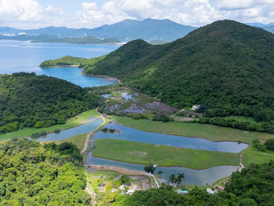 深涌大埔漁村生態發現之旅