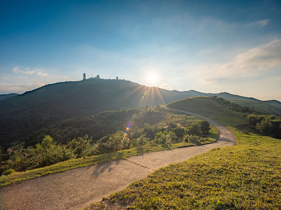 Tai Mo Shan’s sunlit hiking trail