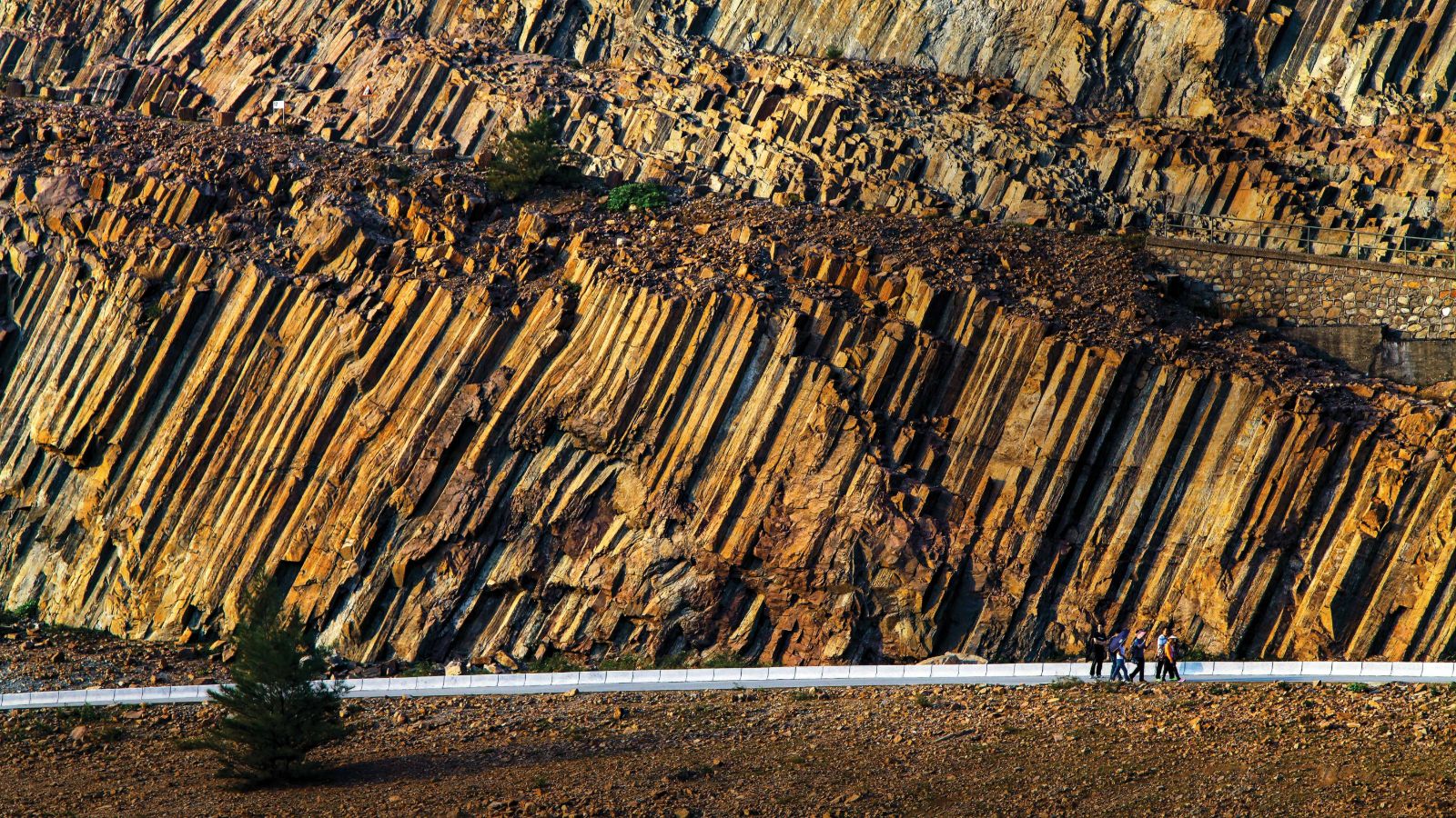 Marine parks to geoparks: a taste of hong kong's ego-diversity