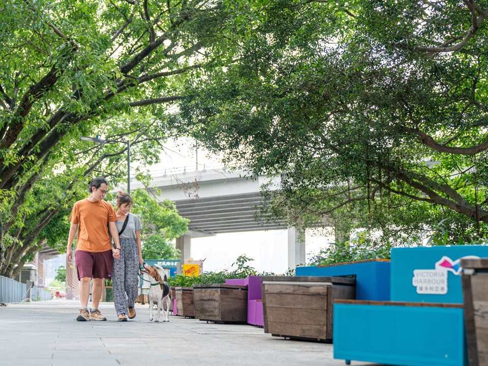 The Revitalised Typhoon Shelter Precinct