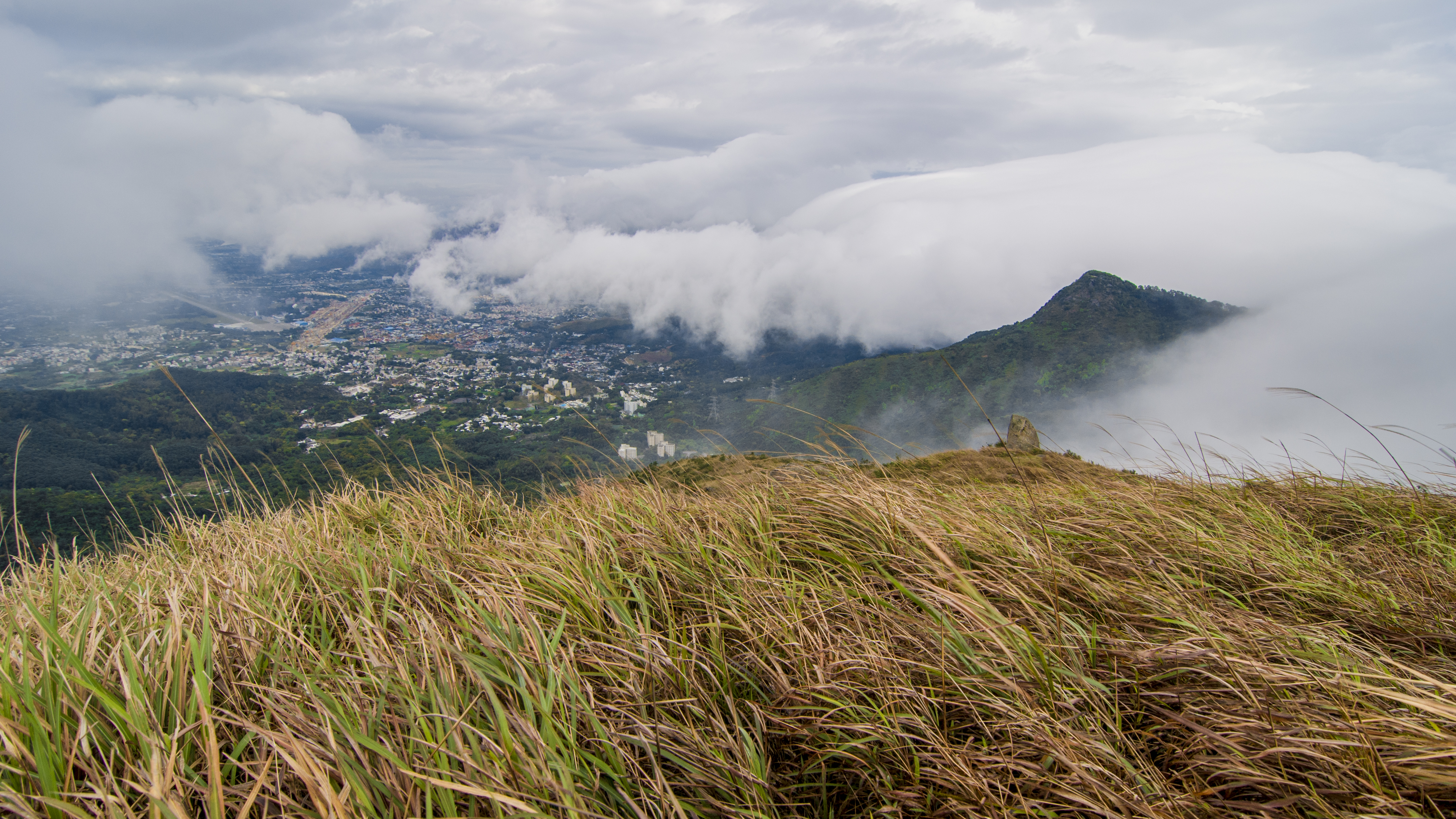 流星雨觀賞地點3. 大帽山山頂