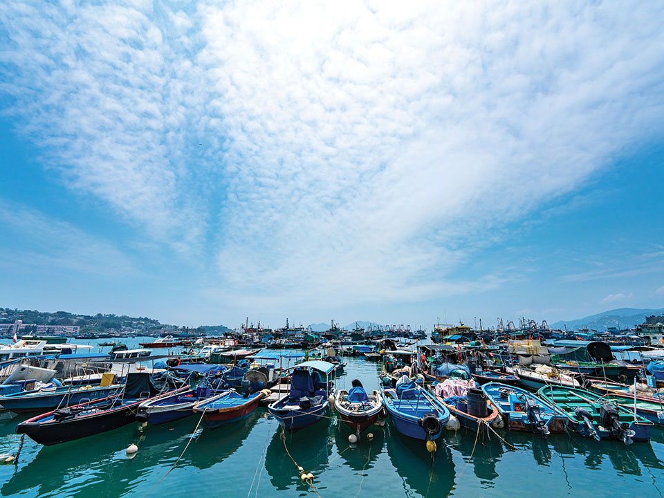 新兴海傍街海景