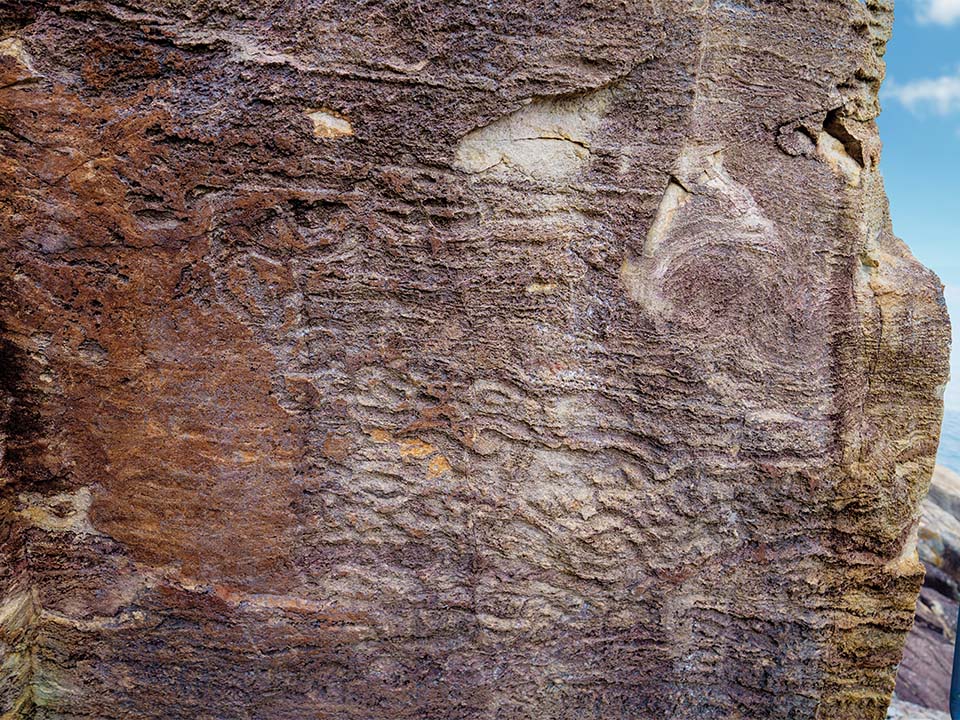 龍蝦湾石刻（Lung Ha Wan Rock Carving）の近影