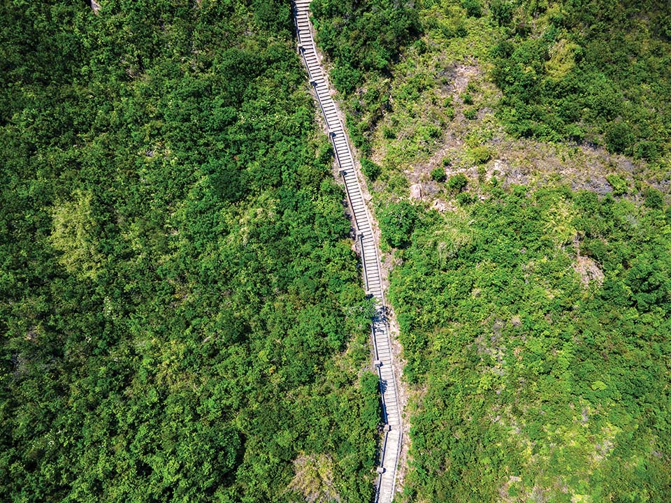 Luchtfoto van het Kruidenplantenpad