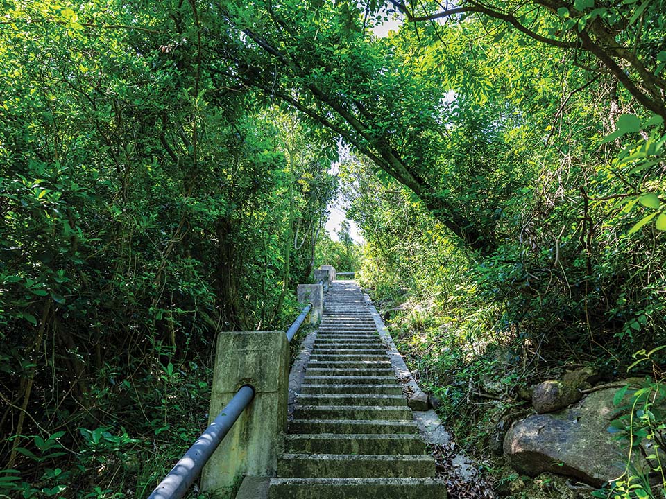 滘西洲（Kau Sai Chau）の中草薬径（Herbal Plant Trail）