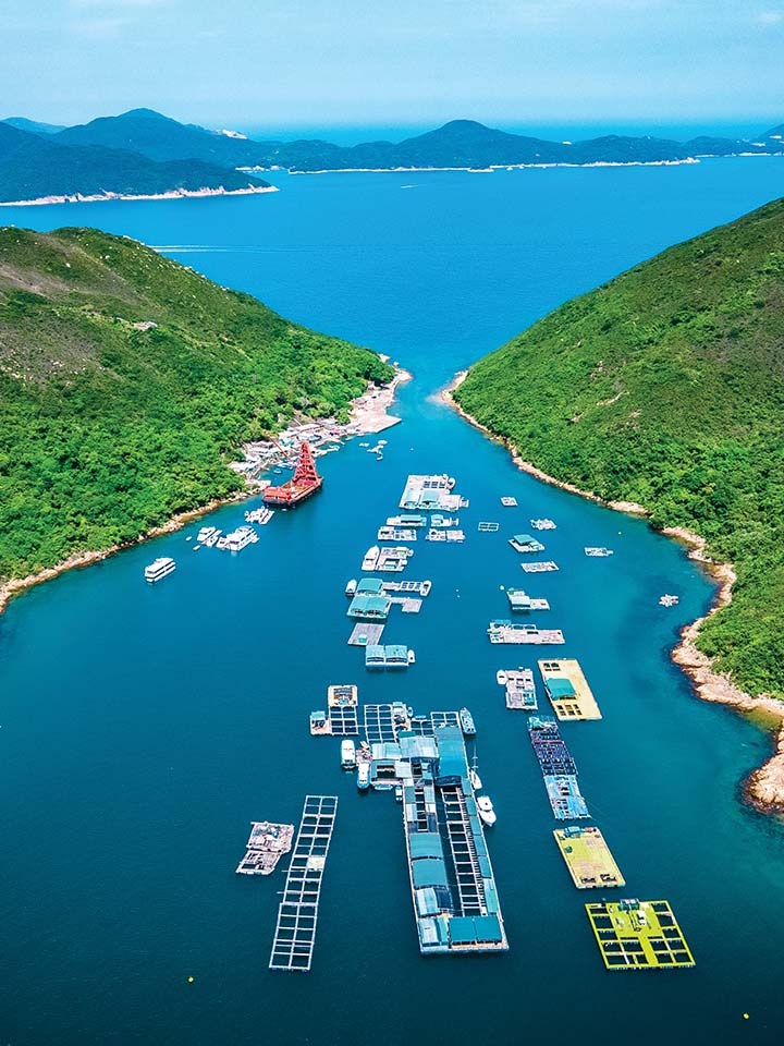 kau-sai-chau-720x960