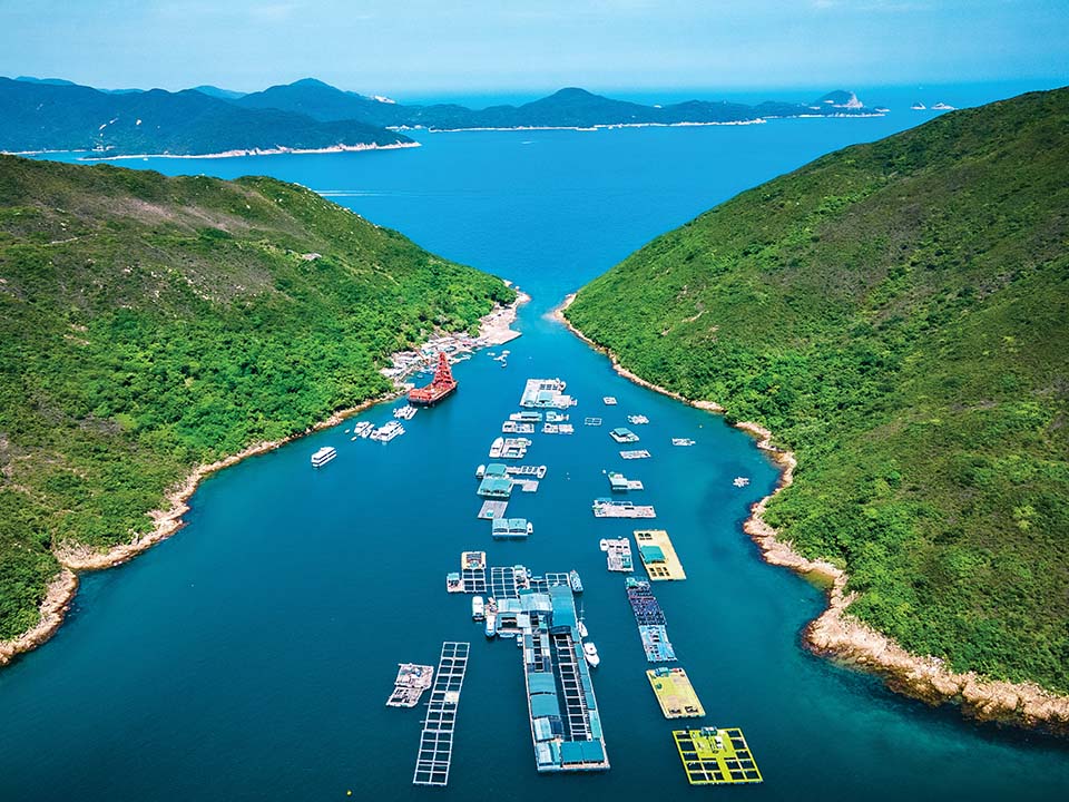 滘西洲（Kau Sai Chau）：時が止まったような漁村を発見し、保護された水上農場で海洋生物と景観美にあふれた場所。