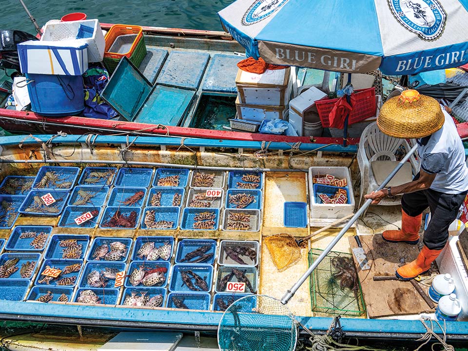 Frisch gefangene Fische von Fischern aus Sai Kung