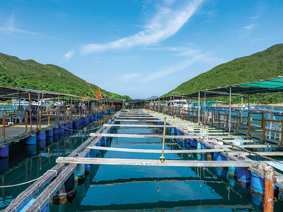 Floating rafts at Kau Sai Chau