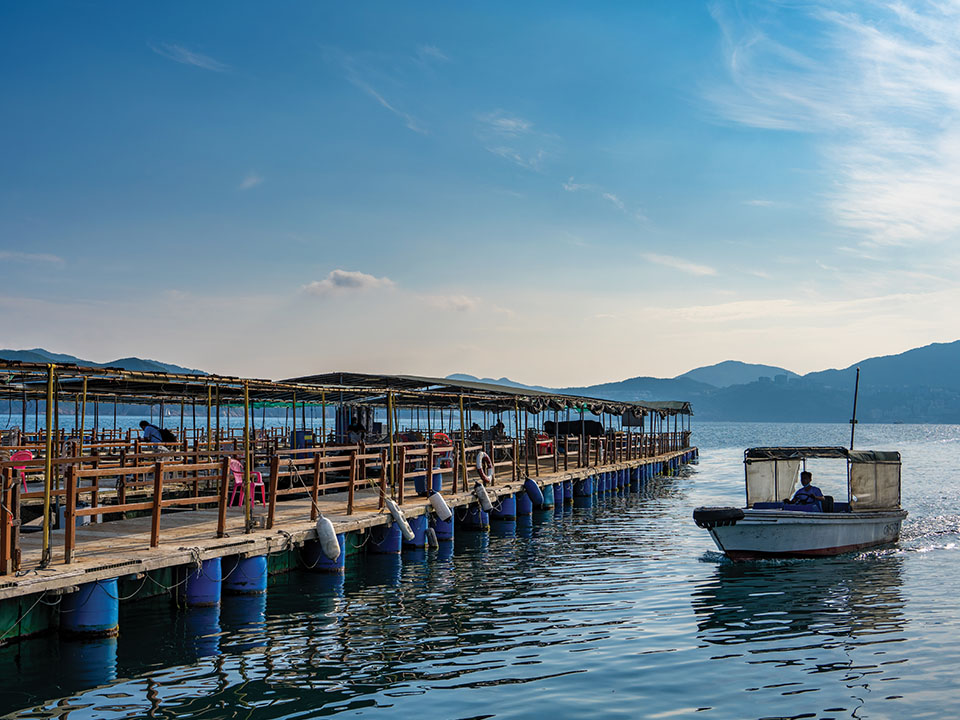 滘西魚類養殖區 