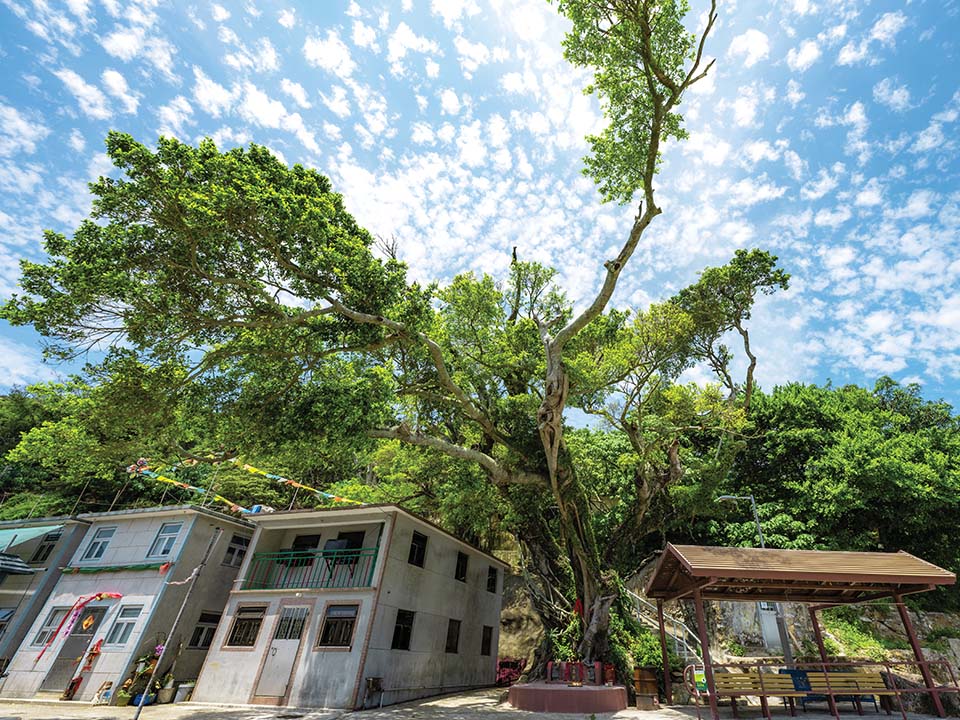 滘西洲（Kau Sai Chau）の漁村を探検する