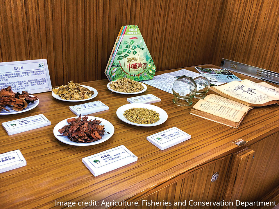 De Verhalenkamer van het Kau Sai Dorp toont kruiden die worden gebruikt voor traditionele geneeskunde