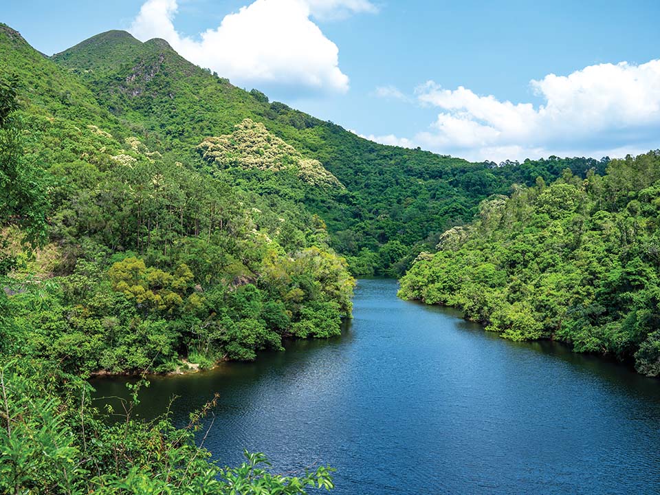 鶴藪水塘（Hok Tau Reservoirs）