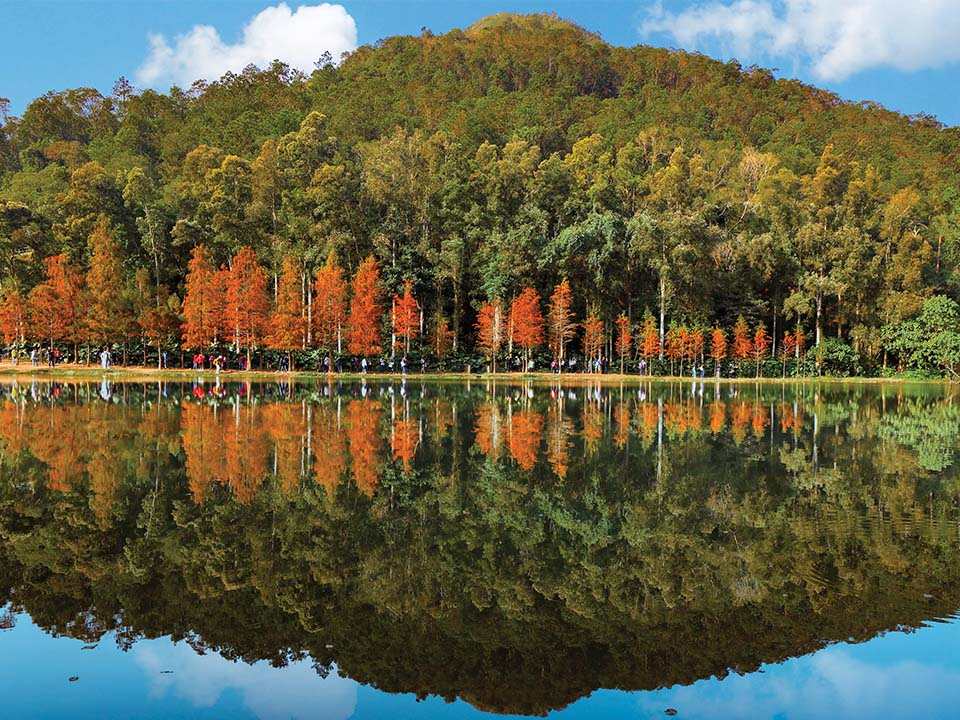 Lau Shui Heung dan Hok Tau Reservoirs: pendakian kawasan hutan menuju reservoir ‘cermin langit’ yang mendebarkan dan aneka kupu-kupu serta capung cagar alam yang langka.