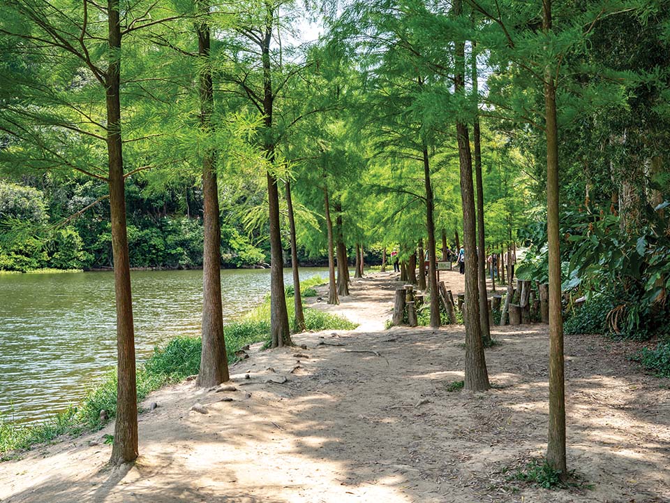 周圍環境流水潺潺，河水川流不息