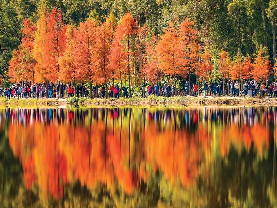 Feuilles d'automne au lac de Lau Shui Heung