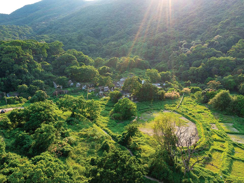 沿山徑登山穿過樹林，可看見優美景致 