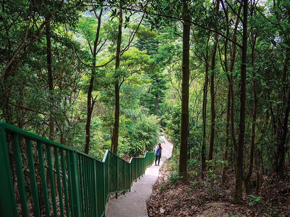 Mandi hutan di Lung Fu Shan Morning Trail