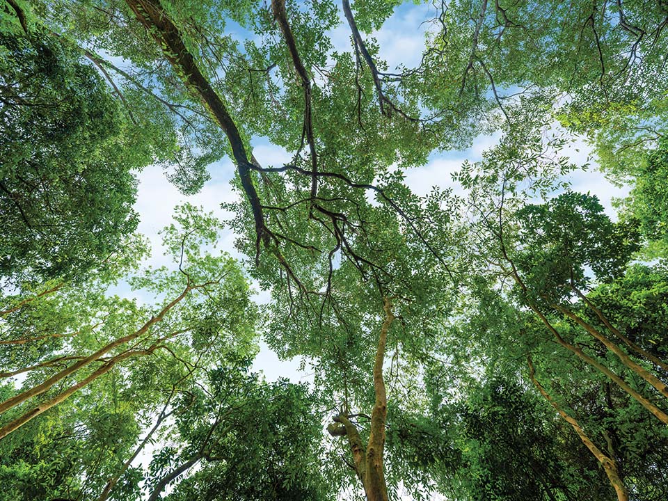 Naturbelassene Landschaft am Pik Shan Pfad