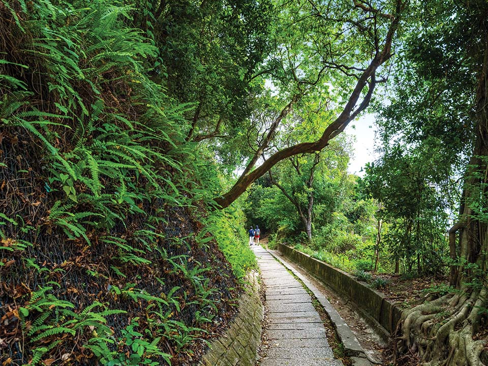 Mandi hutan di Pik Shan Path