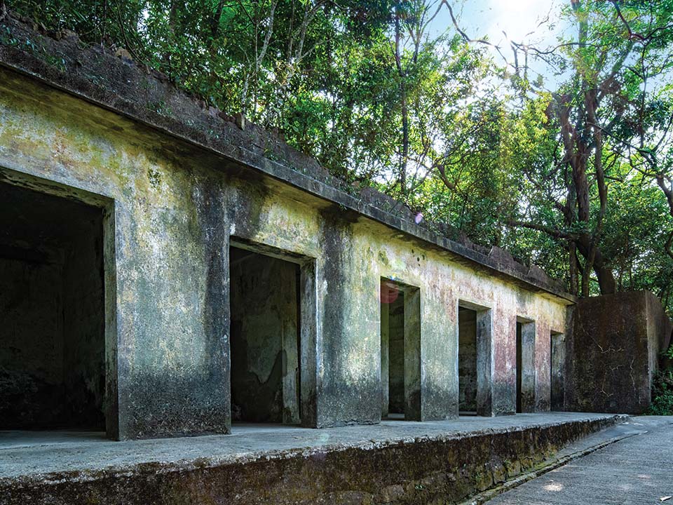 Reliques de guerre à Pinewood Battery