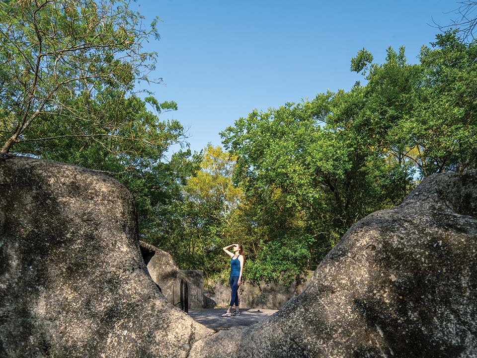  龍虎山（Lung Fu Shan）の松林炮台（Pinewood Battery）