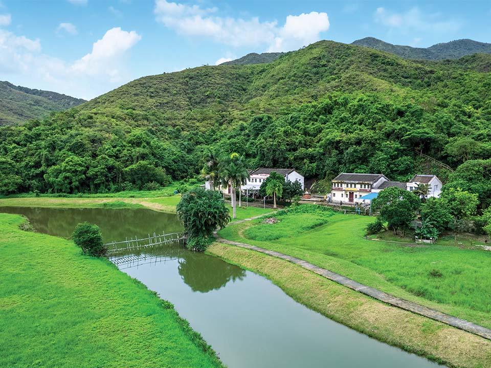Lapangan rumput yang terpelihara baik dan kolam di kampung Sham Chung Hakka