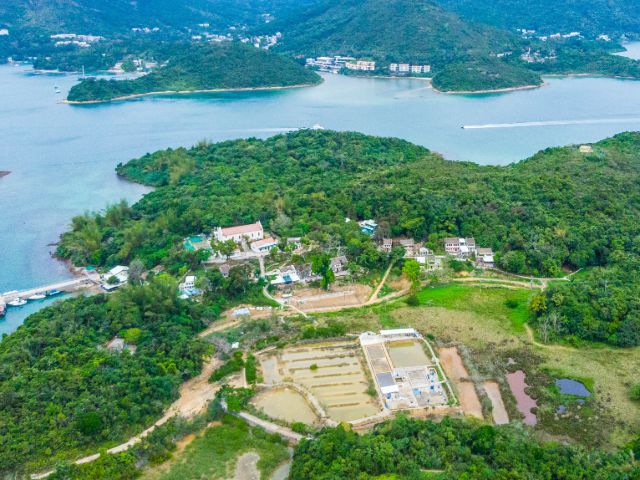 Explore Hakka culture on scarcely inhabited island, Yim Tin Tsai